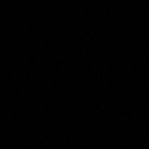 Meet your Posher, Anne